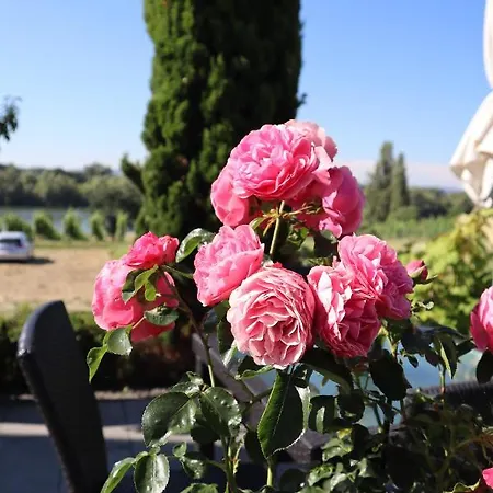 Rheinblick Boutique Art Gaestehaus Hotel 3*