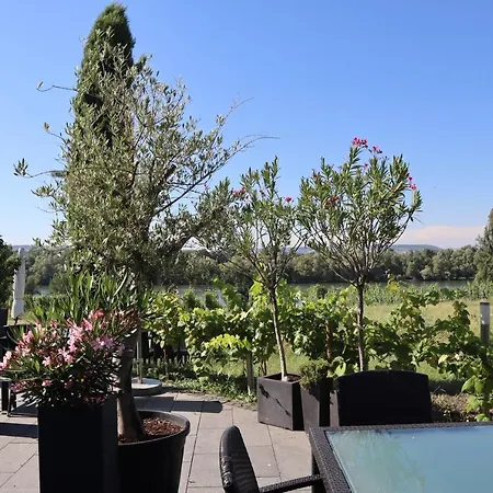 Rheinblick Boutique Art Gaestehaus מלון