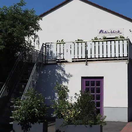 Rheinblick Boutique Art Gaestehaus 3*