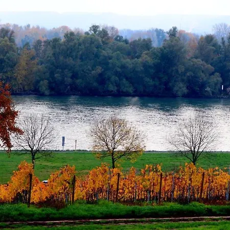 Rheinblick Boutique Art Gaestehaus 3*