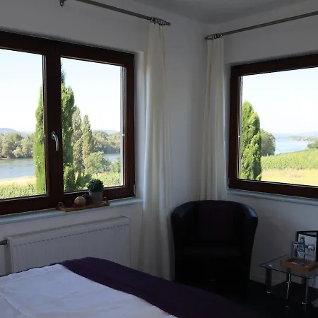 Rheinblick Boutique Art Gaestehaus 3* Hattenheim