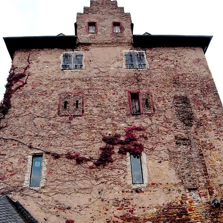 Rheinblick Boutique Art Gaestehaus