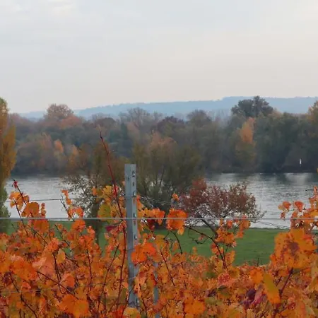Hotel Rheinblick Boutique Art Gaestehaus