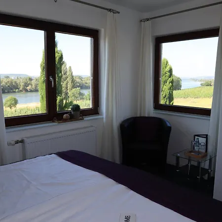 Rheinblick Boutique Art Gaestehaus 3* Hattenheim