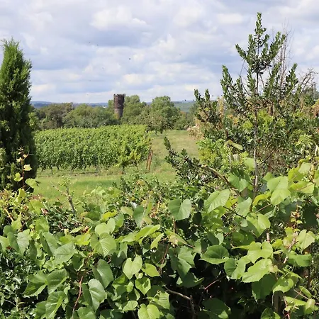 Rheinblick Boutique Art Gaestehaus Hattenheim