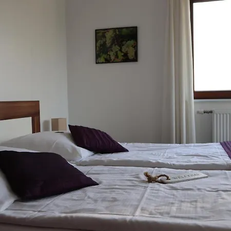 Hotel Rheinblick Boutique Art Gaestehaus