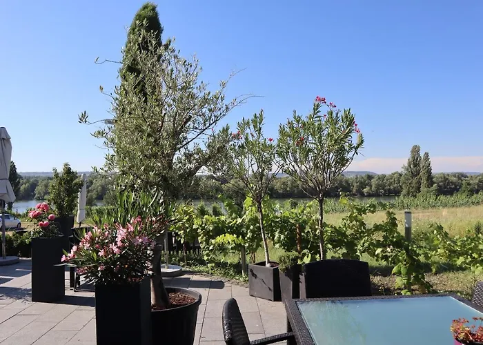 Rheinblick Boutique Art Gaestehaus Hotel