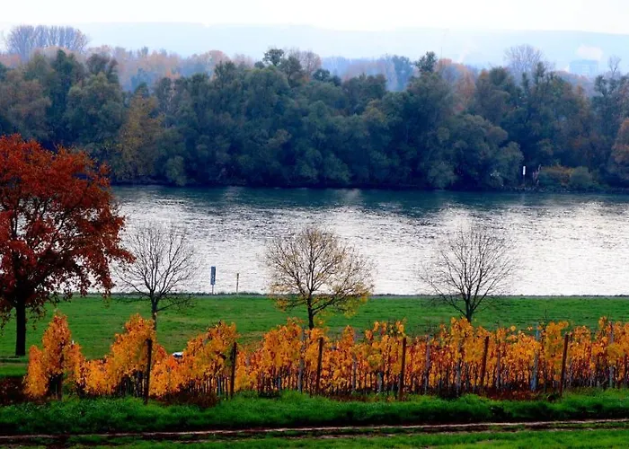 Rheinblick Boutique Art Gaestehaus 3*