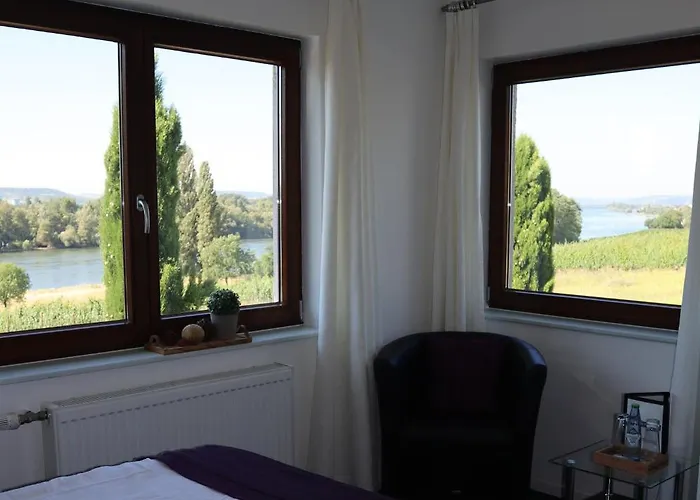 Rheinblick Boutique Art Gaestehaus 3* Hattenheim