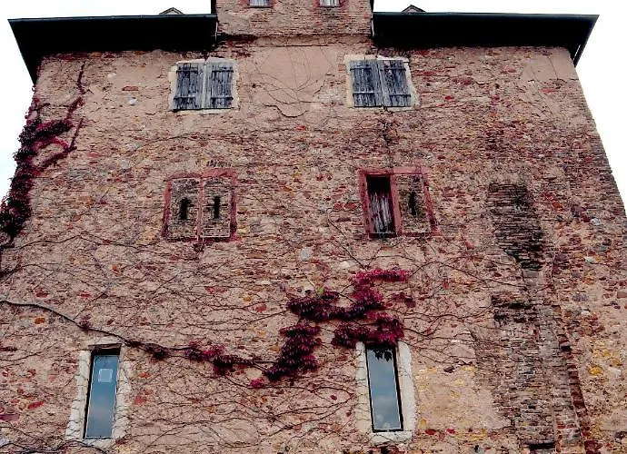 Rheinblick Boutique Art Gaestehaus