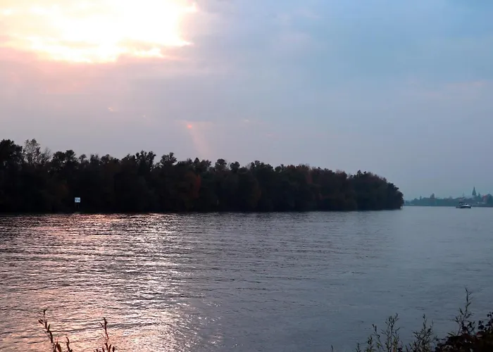 Rheinblick Boutique Art Gaestehaus 3* Hattenheim