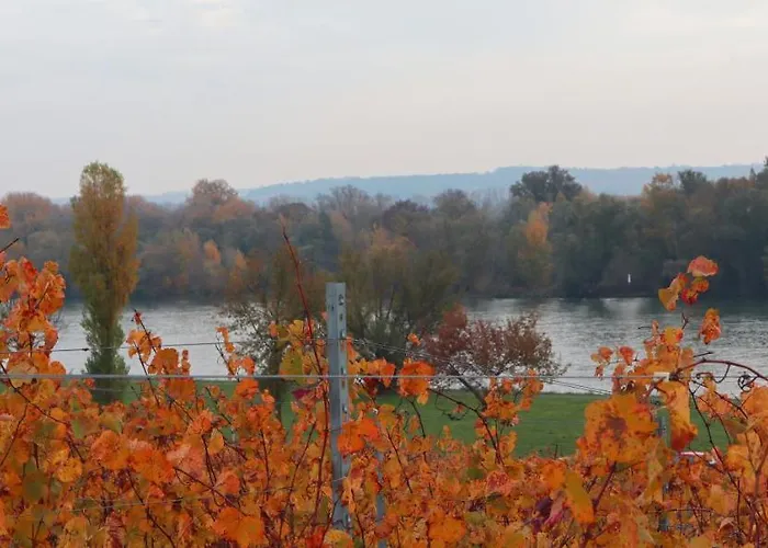 Hotel Rheinblick Boutique Art Gaestehaus