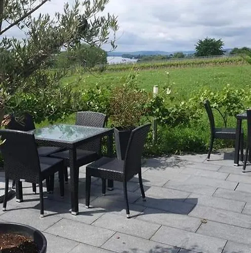 Rheinblick Boutique Art Gaestehaus Hotel