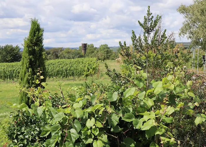 Rheinblick Boutique Art Gaestehaus Hattenheim