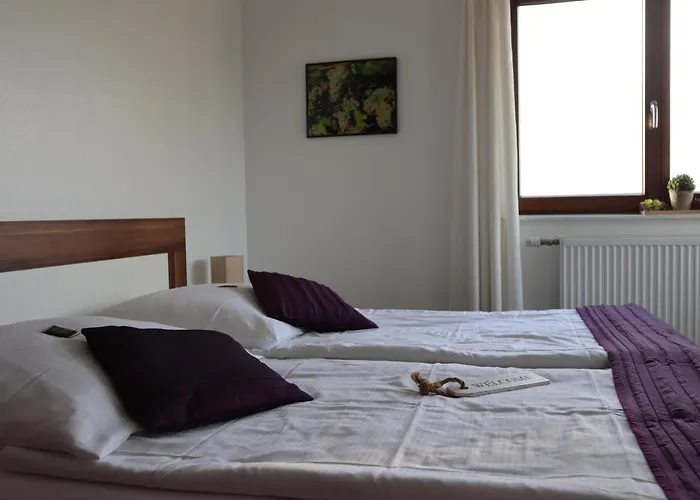 Hotel Rheinblick Boutique Art Gaestehaus